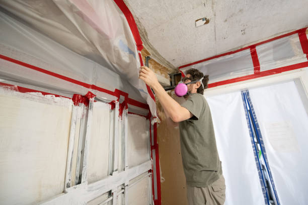 Best Mold Remediation for Rental Properties  in USA